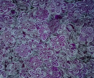 Violetas