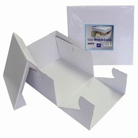 Bases y Cajas